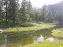 20130815_095759.jpg
