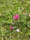 20130815_095826.jpg