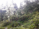 20130815_101639.jpg