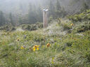 20130815_102645.jpg