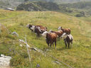 20130815_103659.jpg