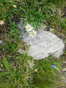 20130815_123331.jpg