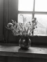 20130815_184950.jpg