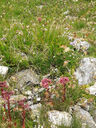 20130816_125741.jpg