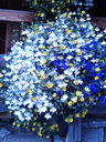 20130818_065441.jpg