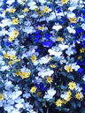 20130818_065444.jpg
