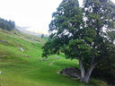 20130818_071633.jpg