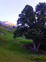 20130818_071651.jpg