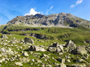 20130818_085833.jpg