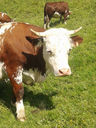 20130818_120629.jpg