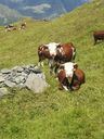 20130818_120639.jpg