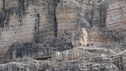 DSC00855.JPG