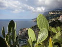 DSCN2769.JPG