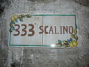 DSCN2774.JPG