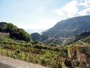 DSC01654-Optimized.JPG