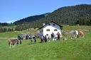 DSC_0017.JPG