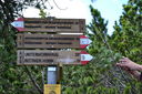 DSC_0038.JPG