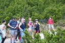 DSC_0047.JPG