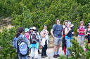 DSC_0048.JPG