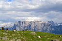 DSC_0080.JPG