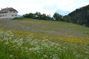 DSC_0086.JPG