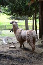 DSC_0118.JPG