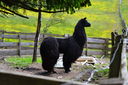 DSC_0120.JPG