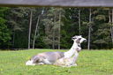 DSC_0127.JPG