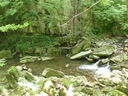 P5310183.JPG