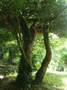 P5310200.JPG