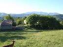 P6010248.JPG