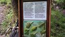 Foreste_casentinesi_059.jpg