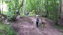 Foreste_casentinesi_060.jpg