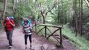 Foreste_casentinesi_069.jpg