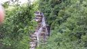 Foreste_casentinesi_071.jpg