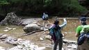 Foreste_casentinesi_075.jpg