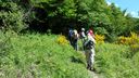 Foreste_casentinesi_088.jpg