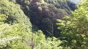 Foreste_casentinesi_091.jpg