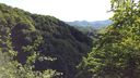 Foreste_casentinesi_092.jpg