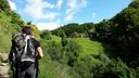 Foreste_casentinesi_093.jpg