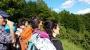Foreste_casentinesi_099.jpg