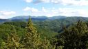 Foreste_casentinesi_100.jpg