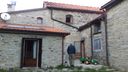 Foreste_casentinesi_104.jpg