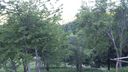 Foreste_casentinesi_109.jpg