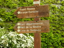 DSCN3453.JPG