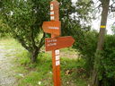 DSCN3478.JPG
