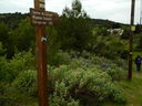 DSCN3481.JPG