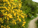 DSCN3485.JPG