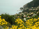 DSCN3486.JPG