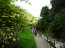 DSCN3495.JPG